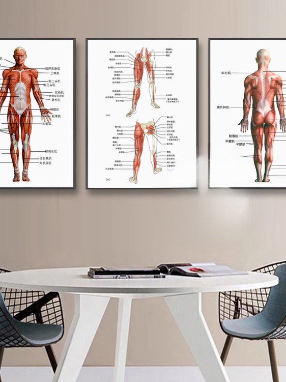 Modern Simplified Chinese Huma - Health Wellness Center recensione e prezzo